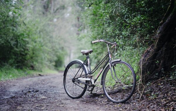 Gear Down bike