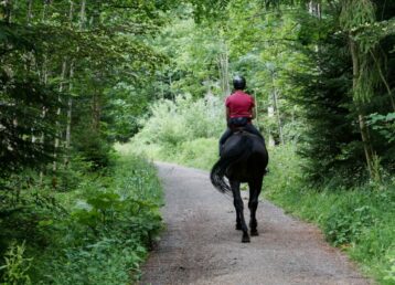 Horseback Riding